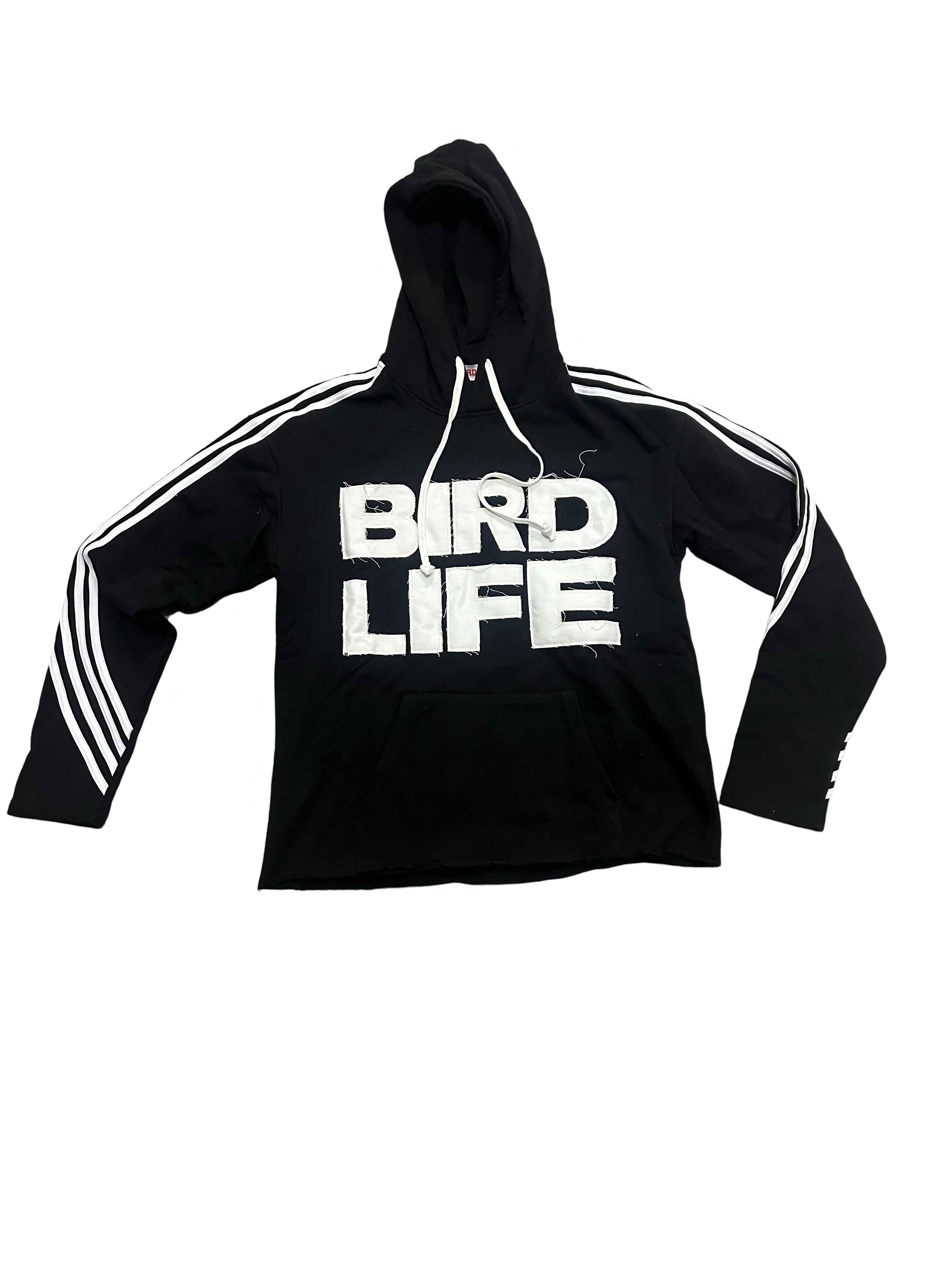 7birds Bird Life Set