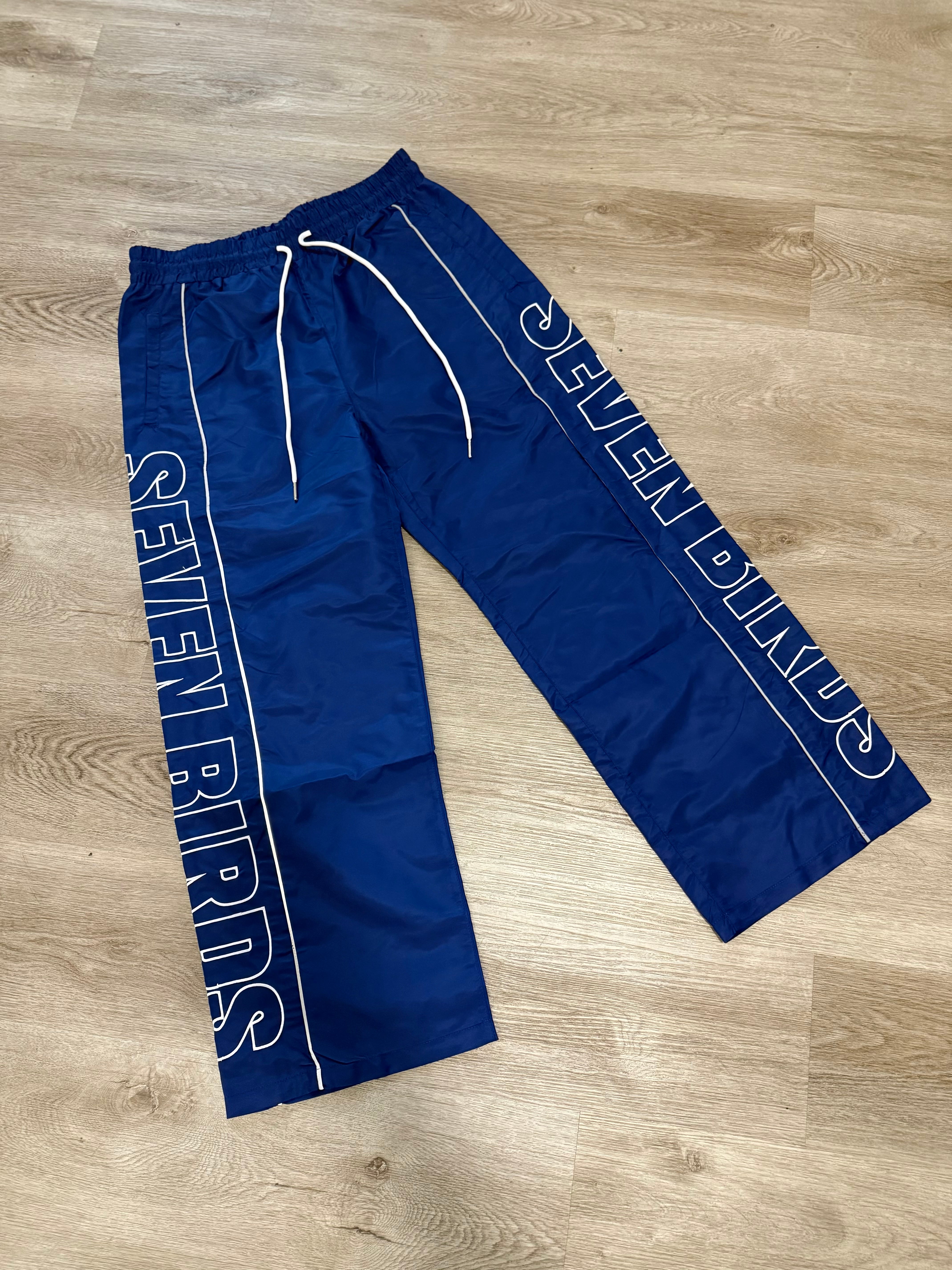 SB Reflect Track pants